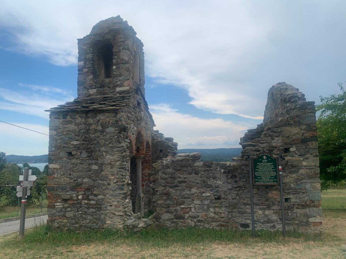 فيفيروني Bouganville المظهر الخارجي الصورة