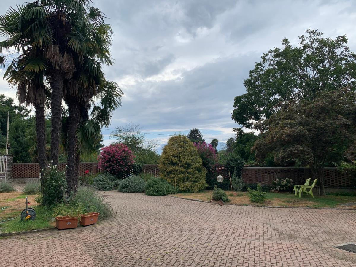 فيفيروني Bouganville المظهر الخارجي الصورة