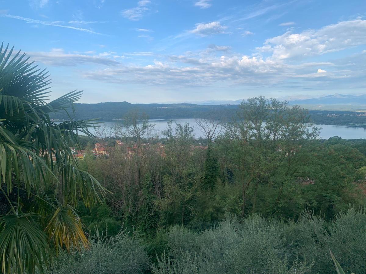 فيفيروني Bouganville المظهر الخارجي الصورة