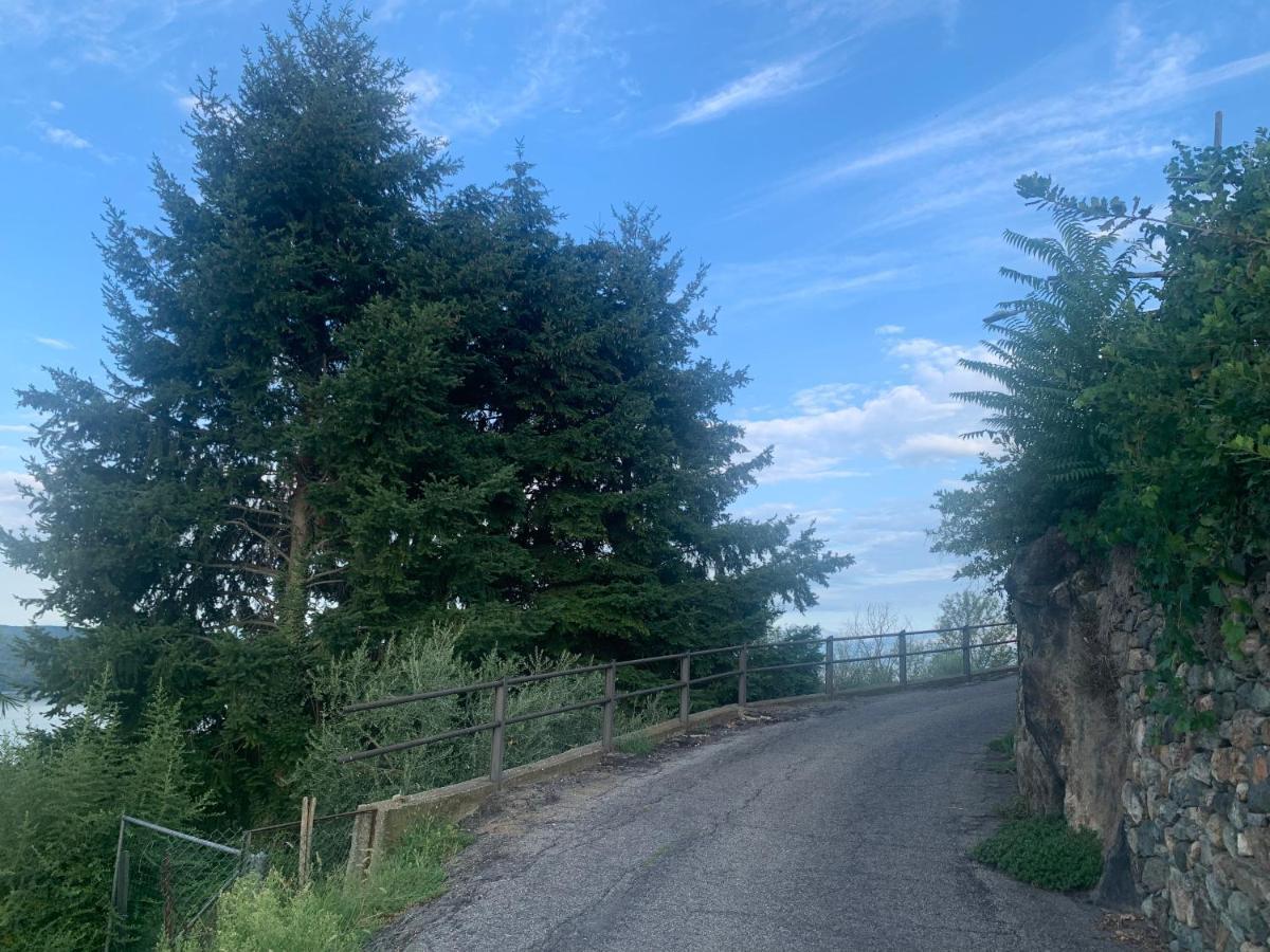 فيفيروني Bouganville المظهر الخارجي الصورة