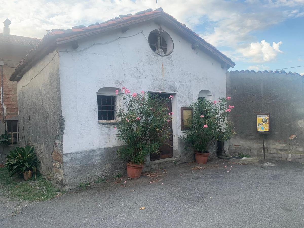 فيفيروني Bouganville المظهر الخارجي الصورة