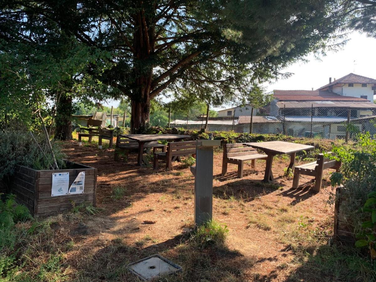 فيفيروني Bouganville المظهر الخارجي الصورة