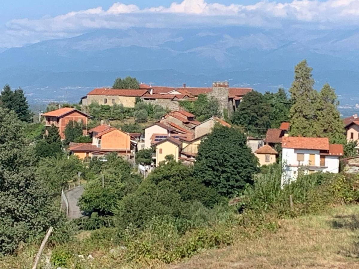 فيفيروني Bouganville المظهر الخارجي الصورة