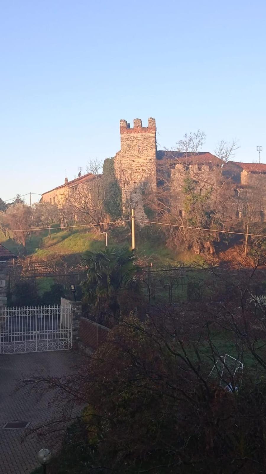 فيفيروني Bouganville المظهر الخارجي الصورة