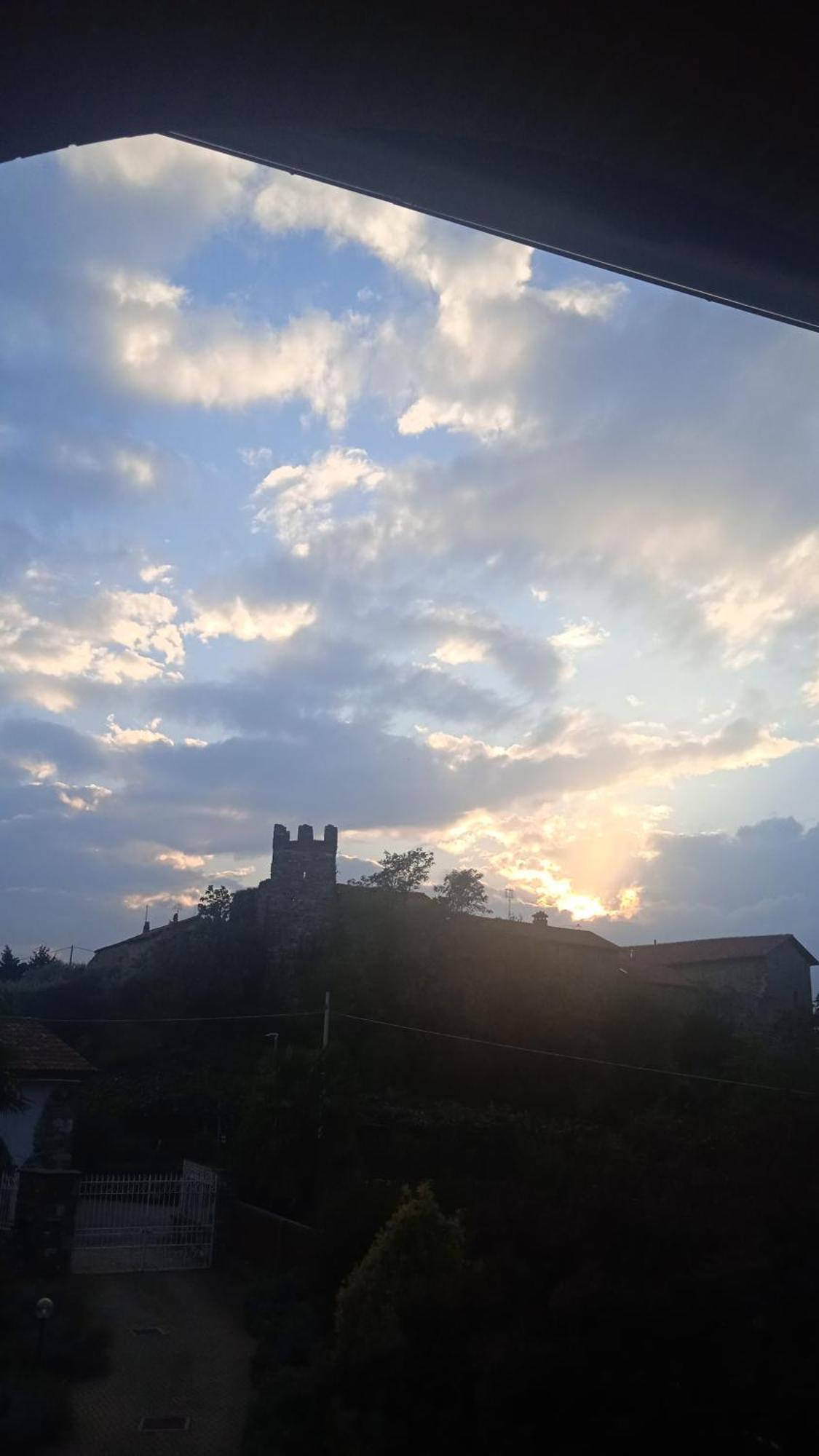فيفيروني Bouganville المظهر الخارجي الصورة